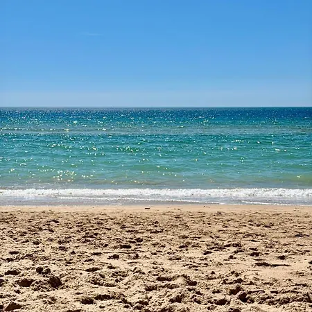 Blue Rocha - Front & Seaview *